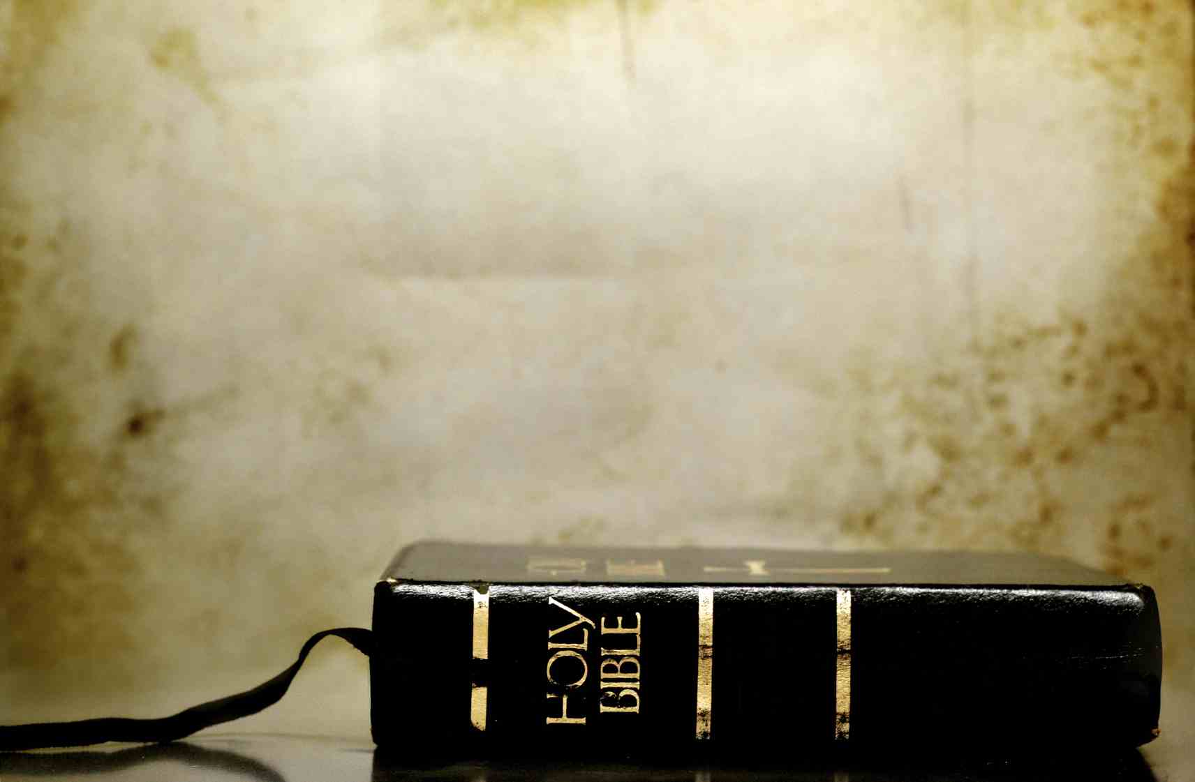 about-the-author-what-does-the-bible-say-about-it