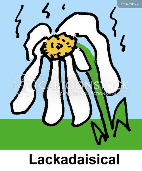 Agriculture Daisy Lackadaisical Word Play Game Mfln9707 Low Wallpaper
