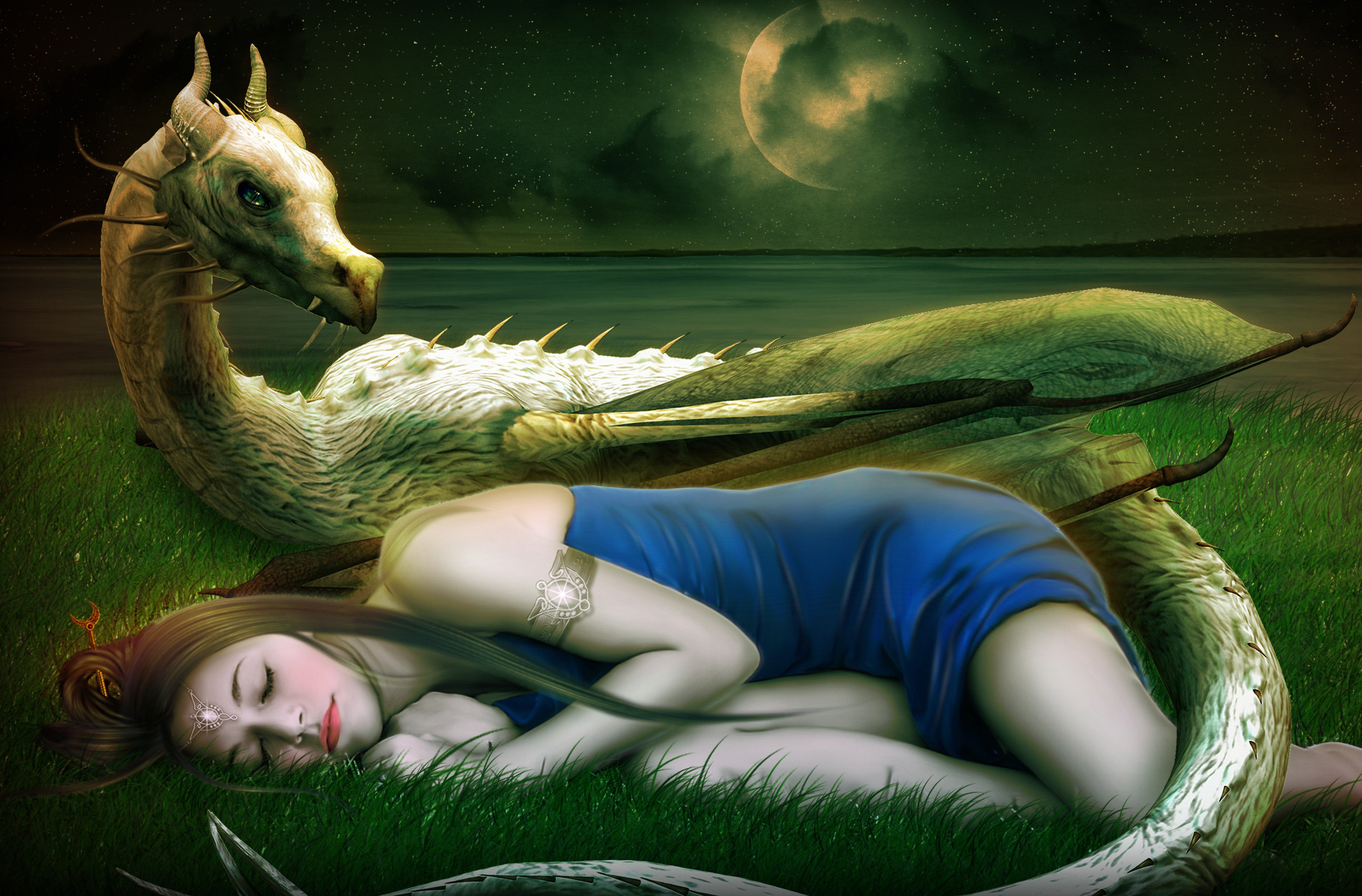 Fantasy Art Artwork Dragon Girl Is Sleeping On Field Night