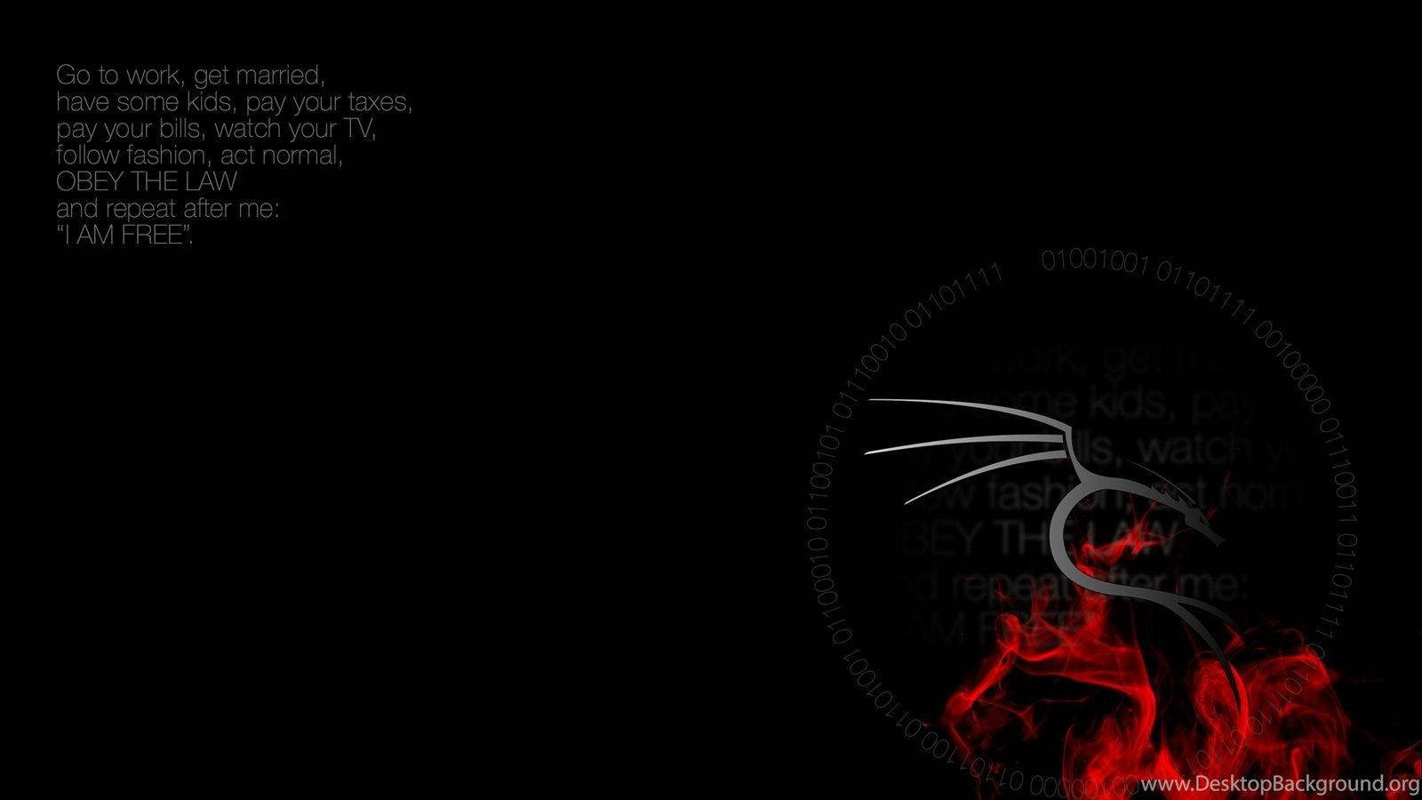Kali Linux Wallpaper