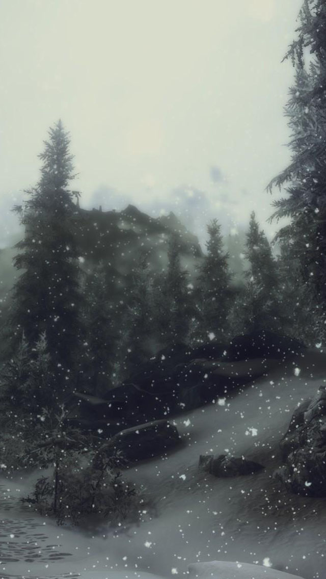 21 Snowy Forest Wallpapers - Wallpaperboat