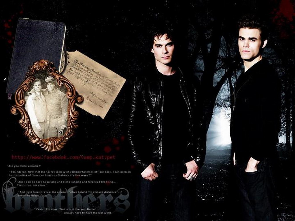 Stefan Damon The Vampire Diaries Wallpaper