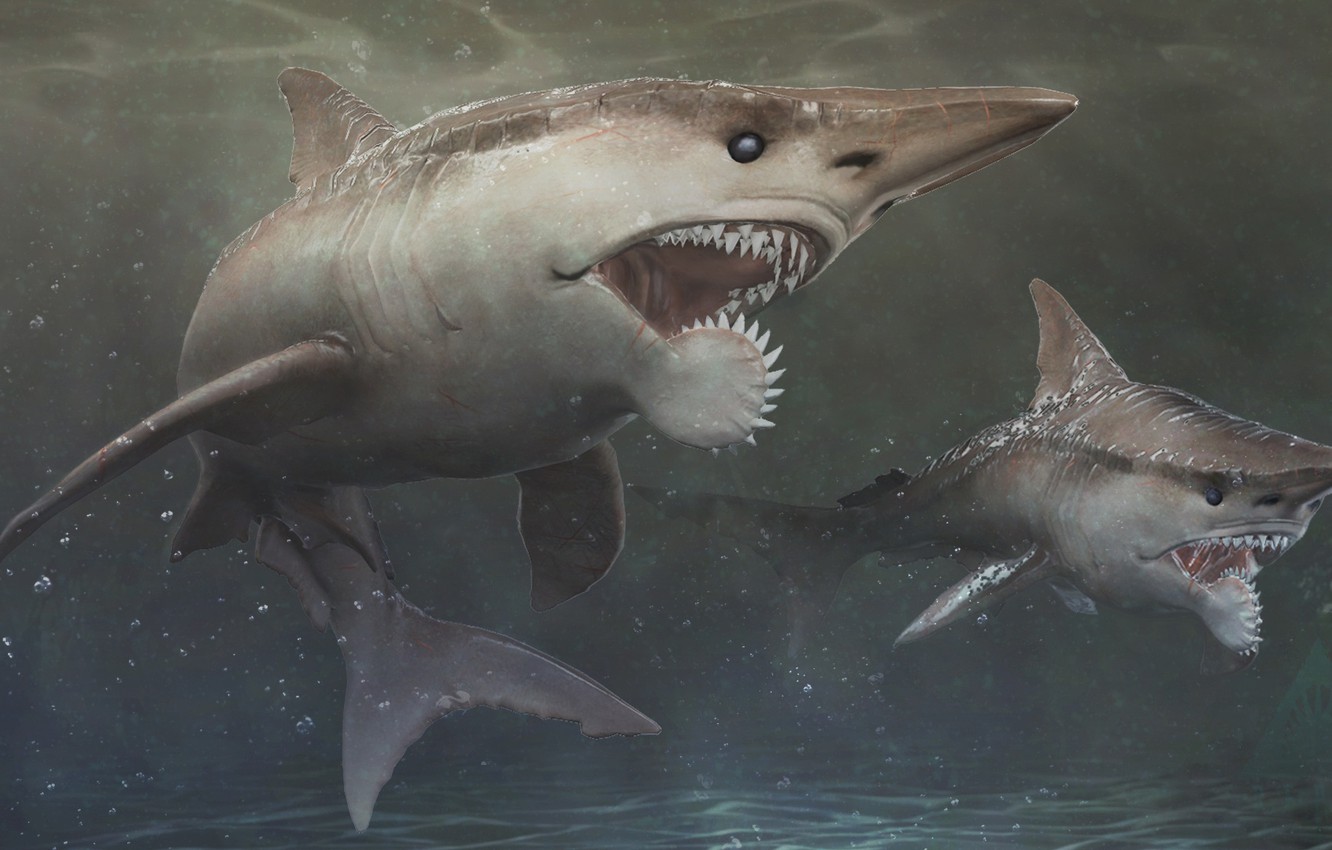 Wallpaper Teeth Depth Shark Mako Skin By