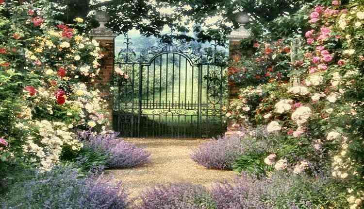Of English Country Garden Landscape Ideas Gardening Wallpaper Html