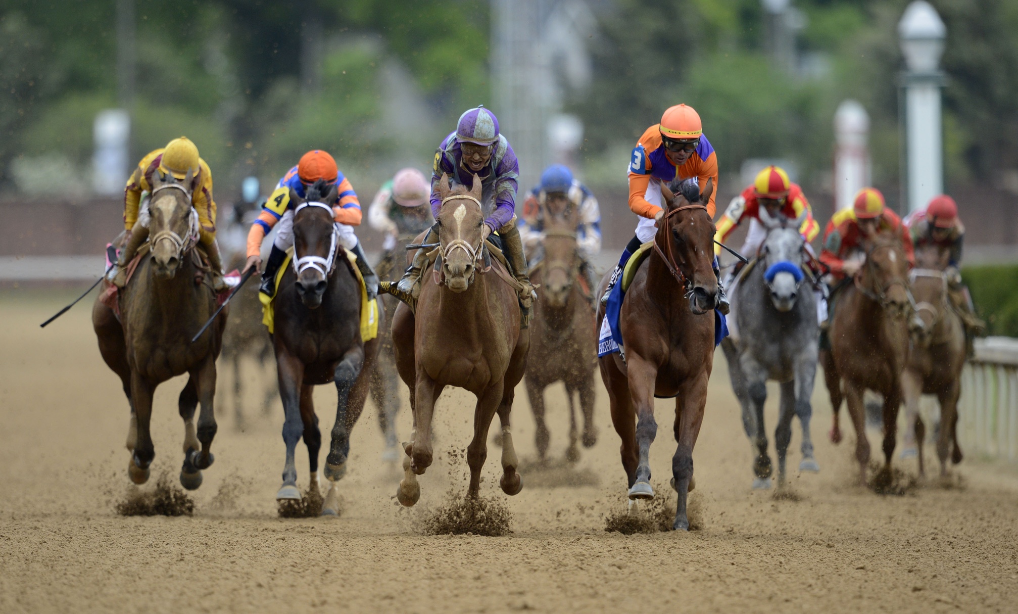 Kentucky Derby Horse Horses Sport Sports Race Racing Wallpaper