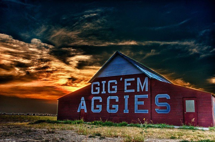 Aggies Rule Barn Whoop Texas Pride Aggie