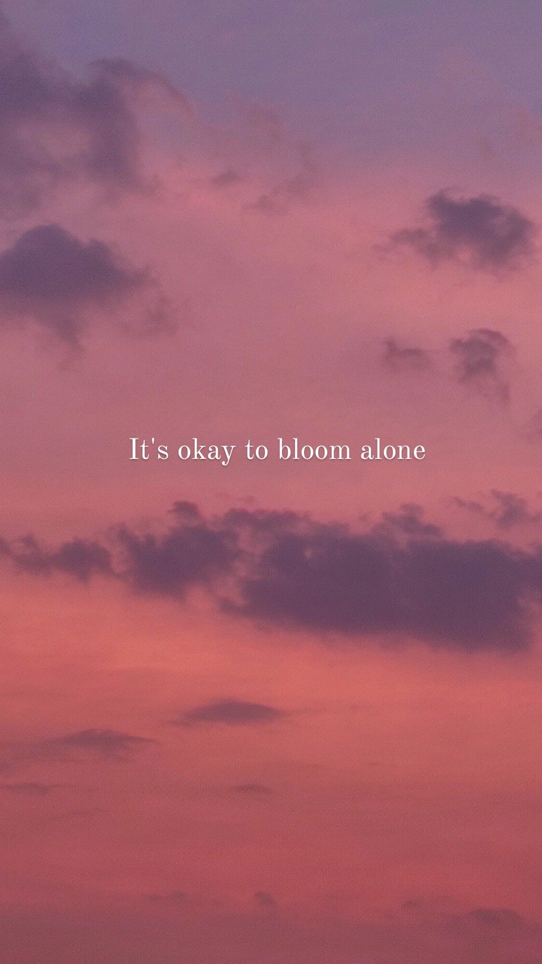 If Your Sunset Love This Aesthetic Picture With Self iPhone Lockscreen Wallpaper