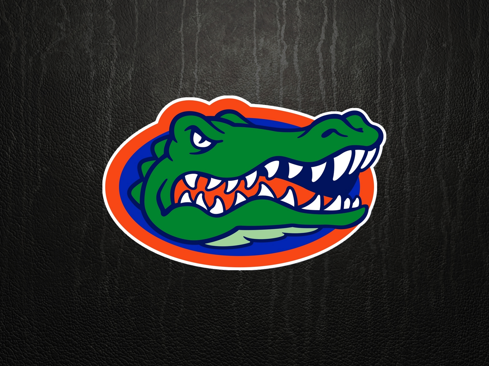 Gators Logo Florida Gator Wallpaper Cartoon