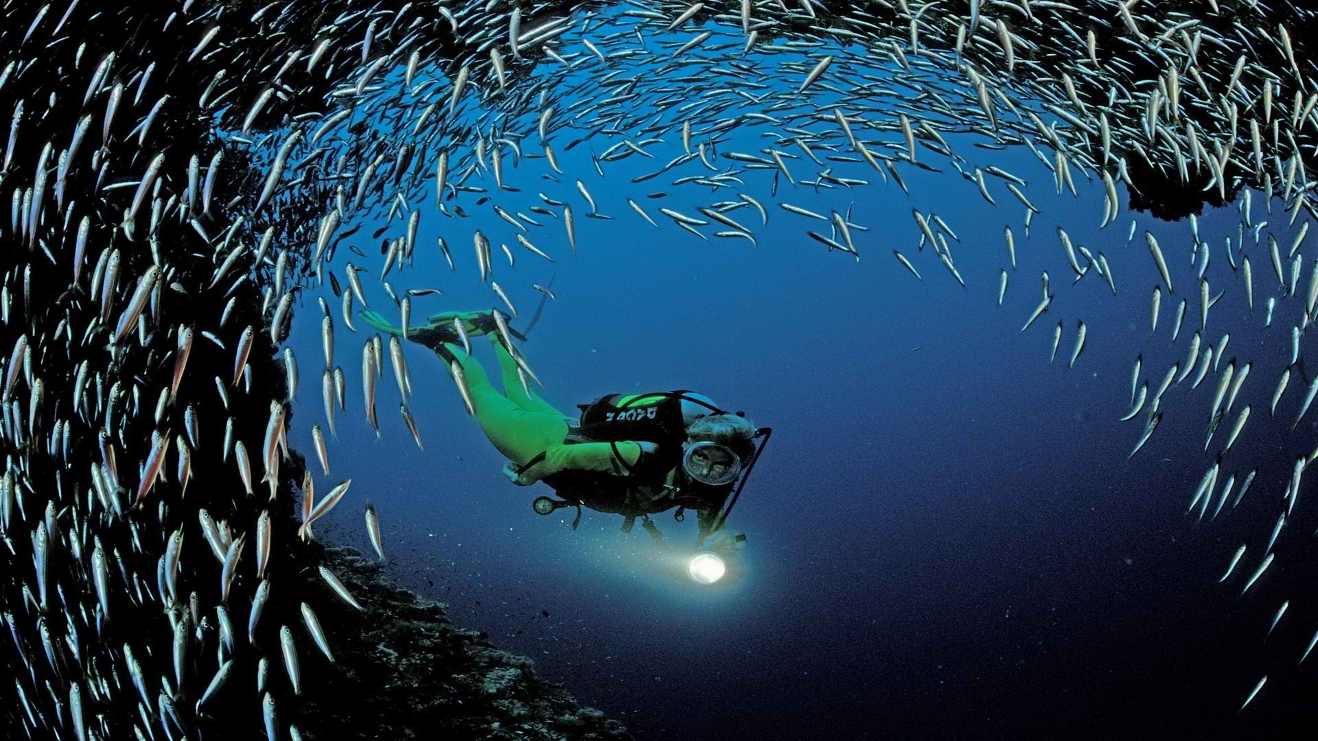 Ocean World Wallpaper Ari Scuba Diving