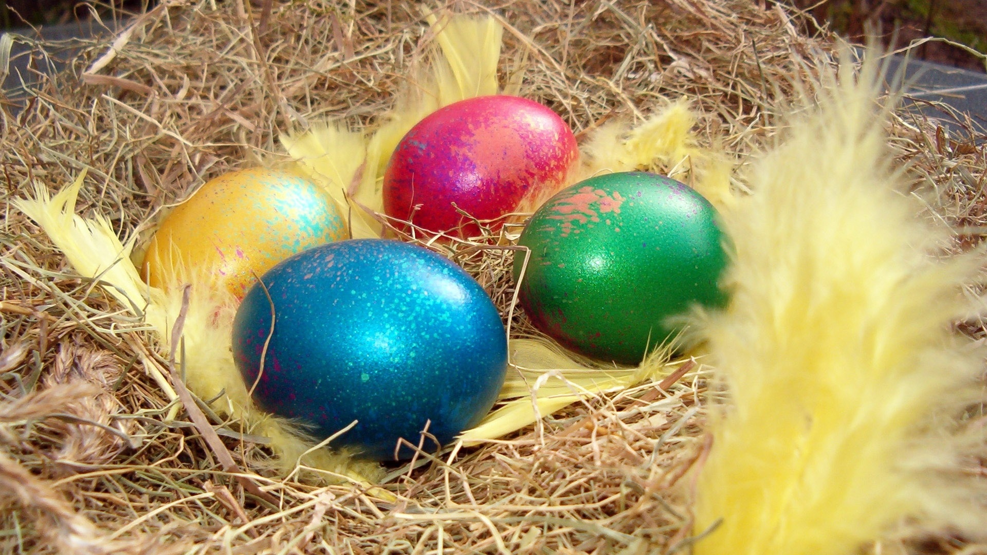 Four Color Easter Eggs Wallpaper Desktop
