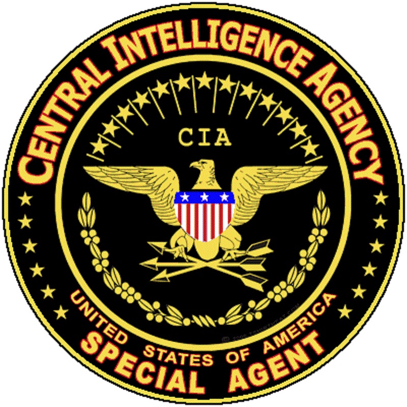 CIA logo 1 by Mr Logo 800x800