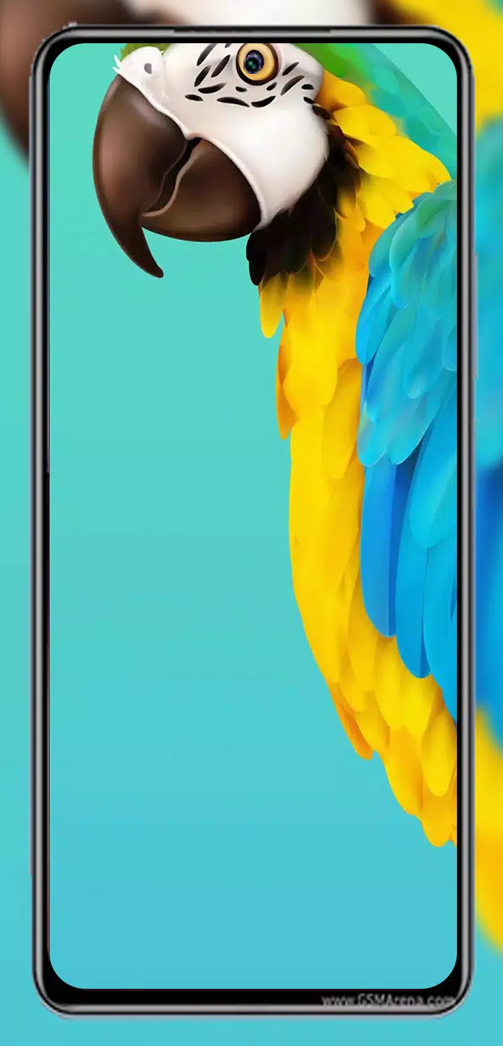 🔥 Free download Punch hole Wallpaper Xiaomi APK for Android Download