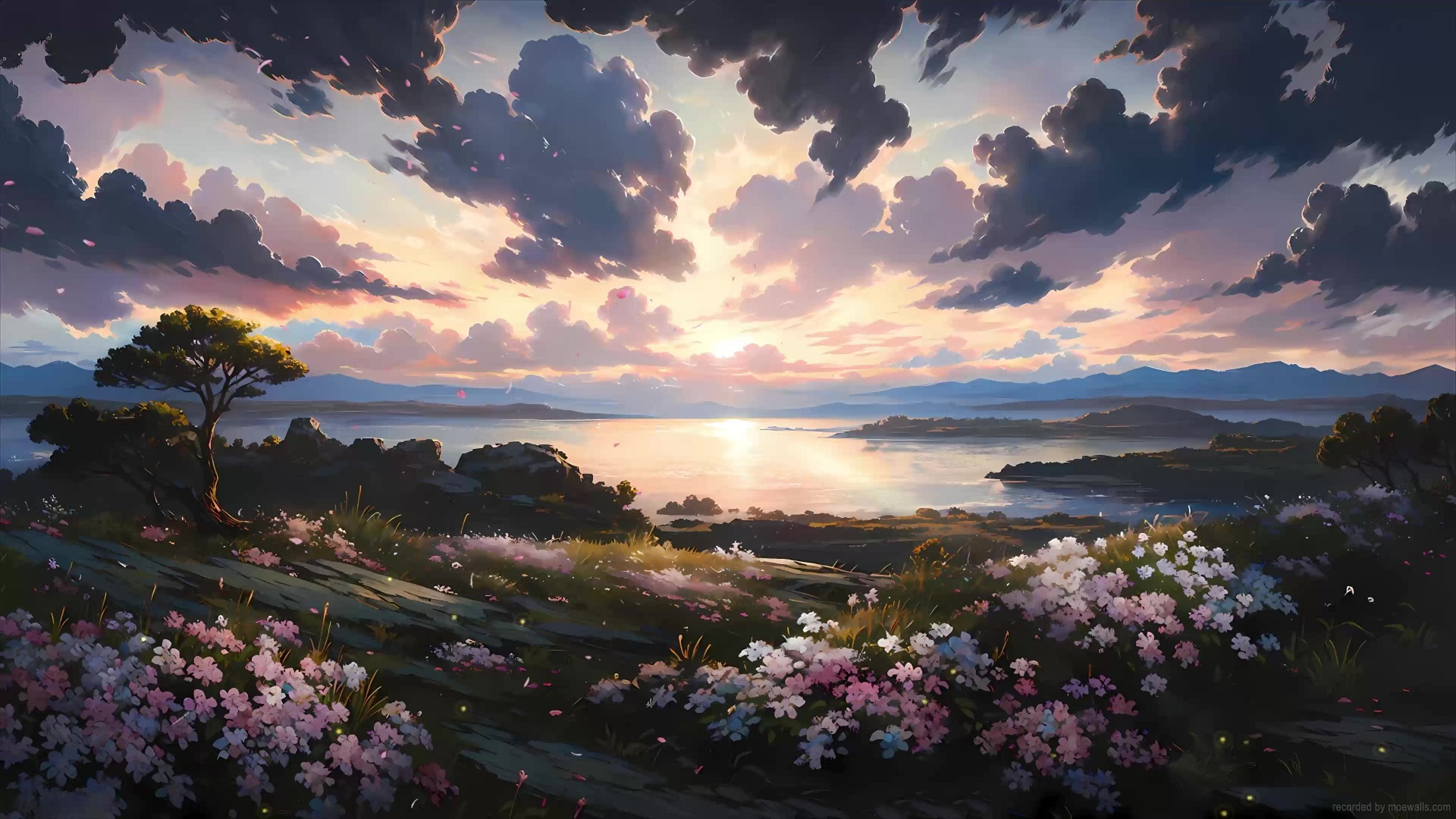 A serene landscape live wallpaper depicting a sunset over a tranquil lake with blooming wildflowers in the foreground and a lone tree silhouetted against the colorful sky