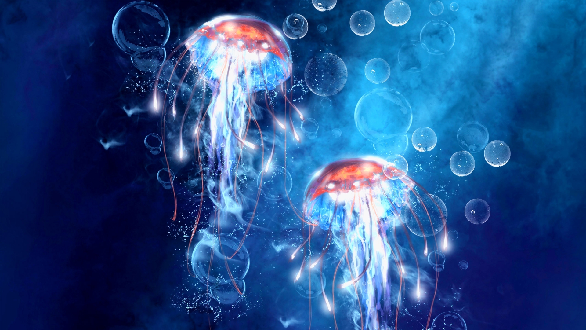 Amazing Jellyfish Wallpaper For iPhone