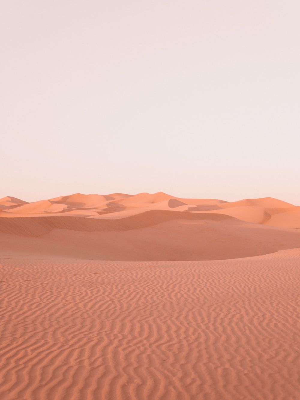 Desert Aesthetic Wallpaper