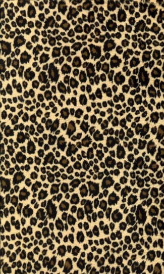 Leopard Print Crackberry
