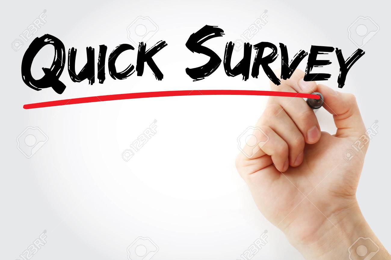 Hand Writing Quick Survey With Marker Concept Background Stock