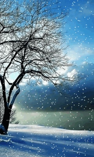 Falling Snow Live Wallpaper For Android By Danilov Appszoom