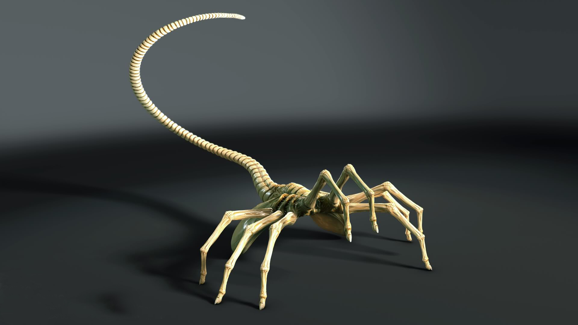 Wallpaper Sci Fi Facehugger With Tags Background