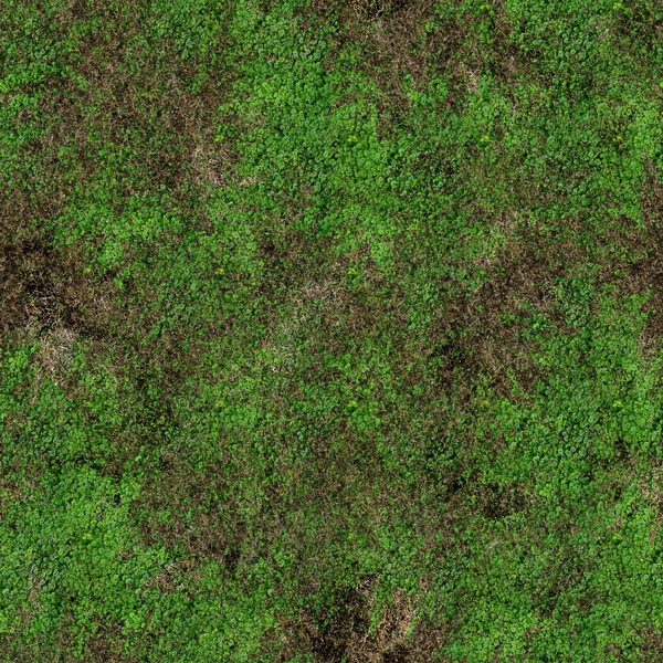 Grass Green Textures Wallpaper
