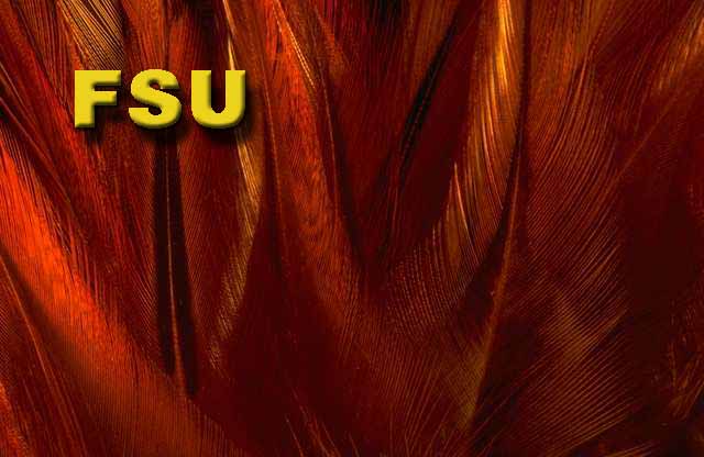 Download Fsu The Florida State University 640x416