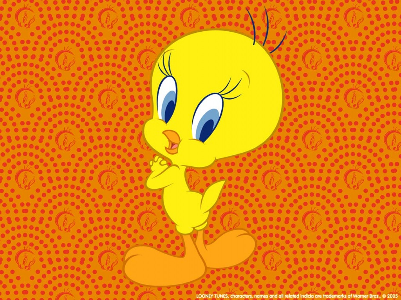 Wallpaper Tweety With Orange Background Child Coloring