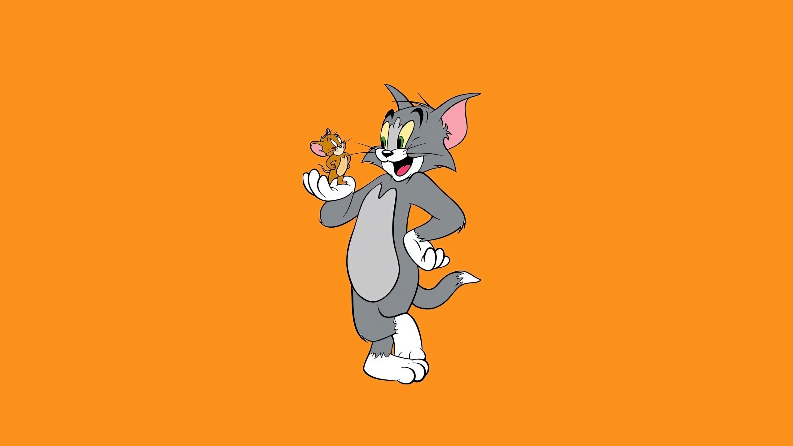 Tom Jerry Wallpaper 4k Cartoon 5k White