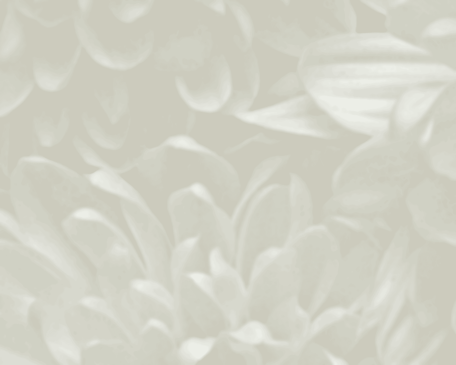 light white and gray flowers great for background stationary
