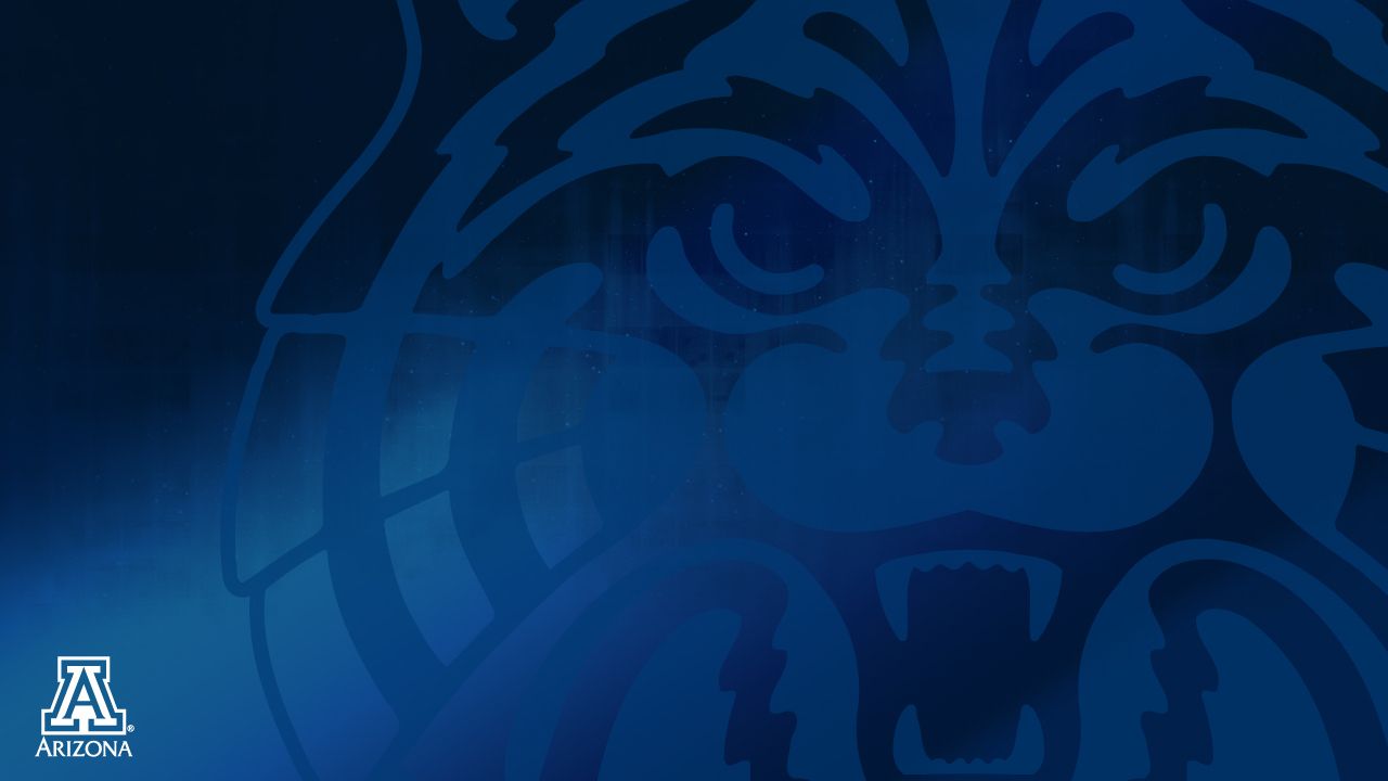 Arizona Wildcats Logo Wallpaper