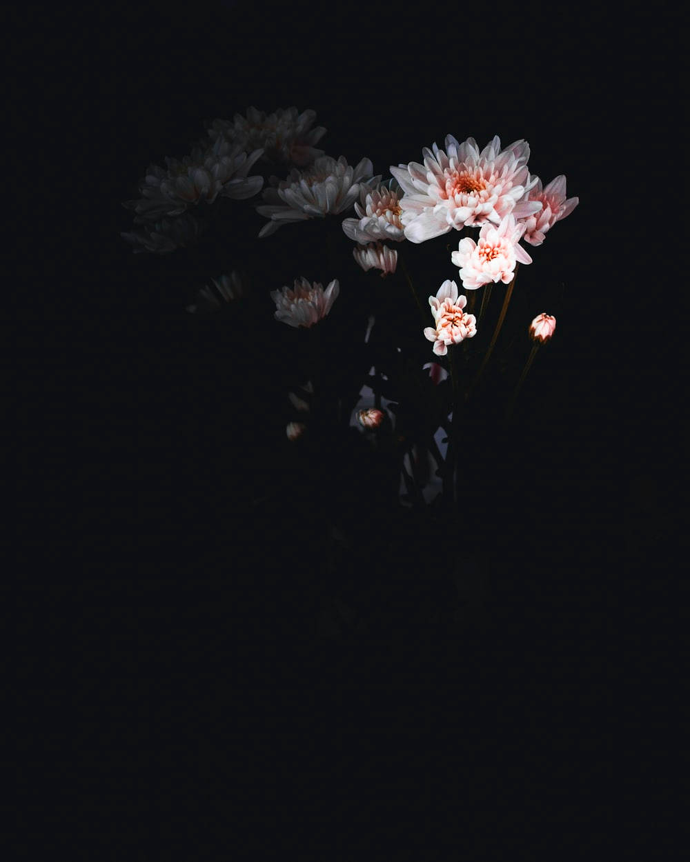 Dark Floral Wallpaper