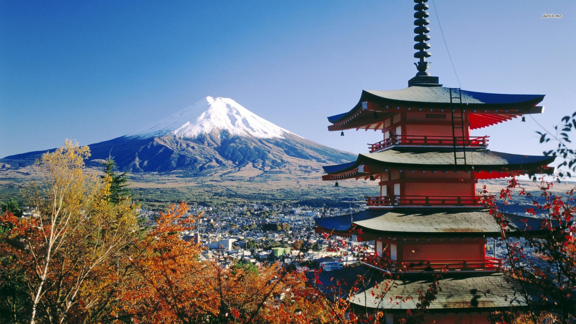 Japan S Winter Activity Guide Polka Dot Wedding