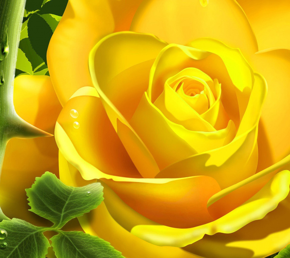 Flowers For Flower Lovers Wallpaper Desktop Background