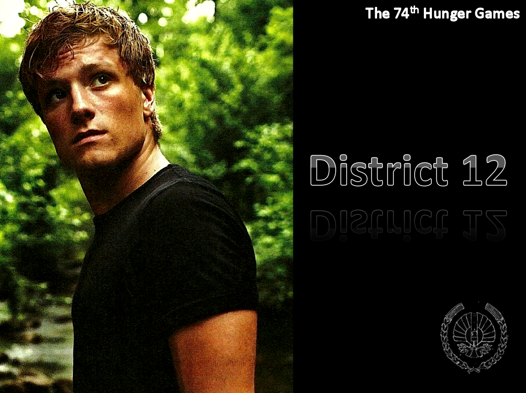 Hunger Games Movie Wallpaper For Desktop And iPad The