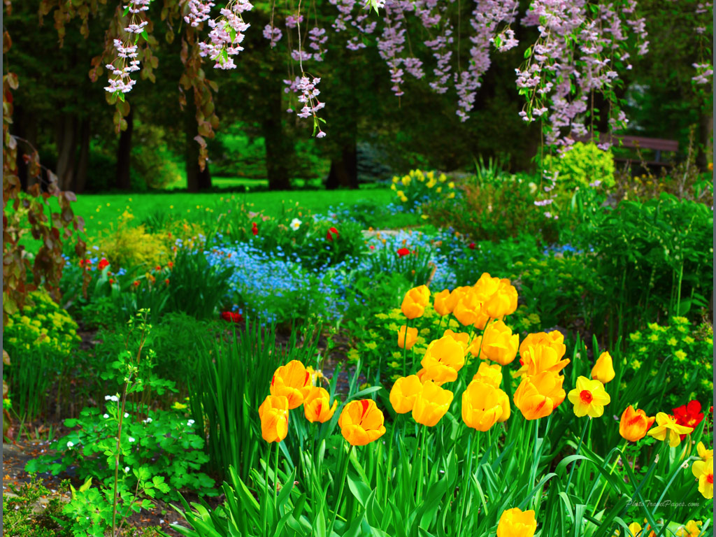 late spring rain wallpapers size spring flowers wallpapers size 1024x768