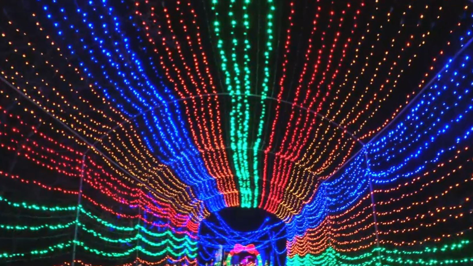 Must See Christmas Lights Displays In Houston Abc13