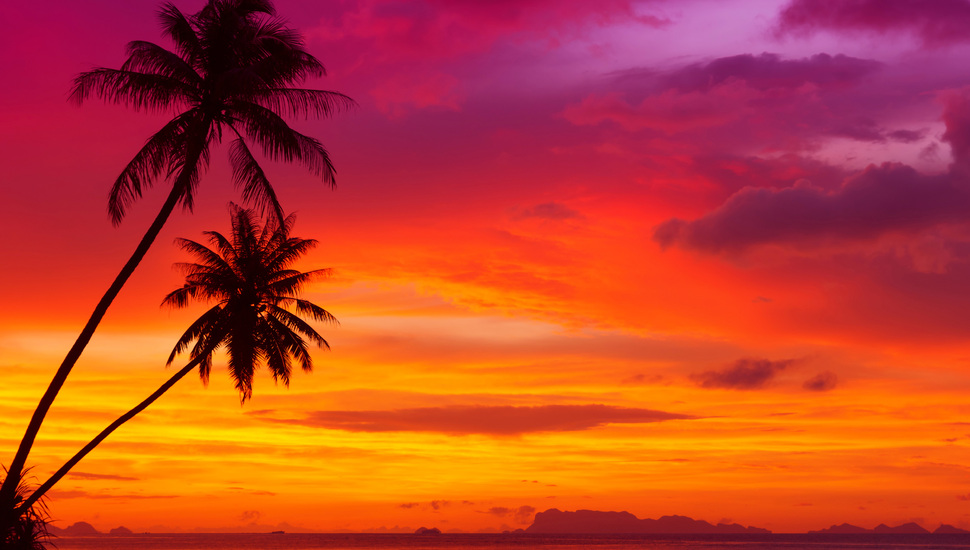 Beautiful Red Sky Palm Trees Landscape Ocean Nature Sunset
