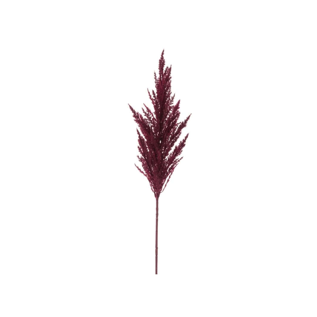 Majestic Pampas Grass Background Wallpaper