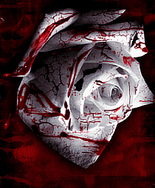 Blooded Rose Wallpaper Desktop Background