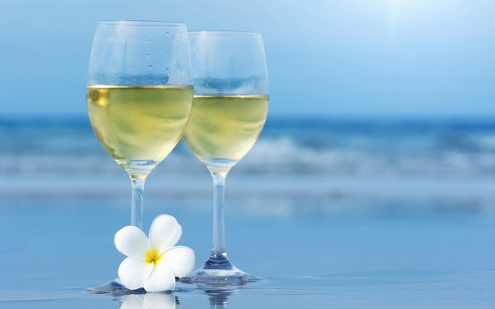 Enjoy The Drink wallpapers HD   18086 1920x1200