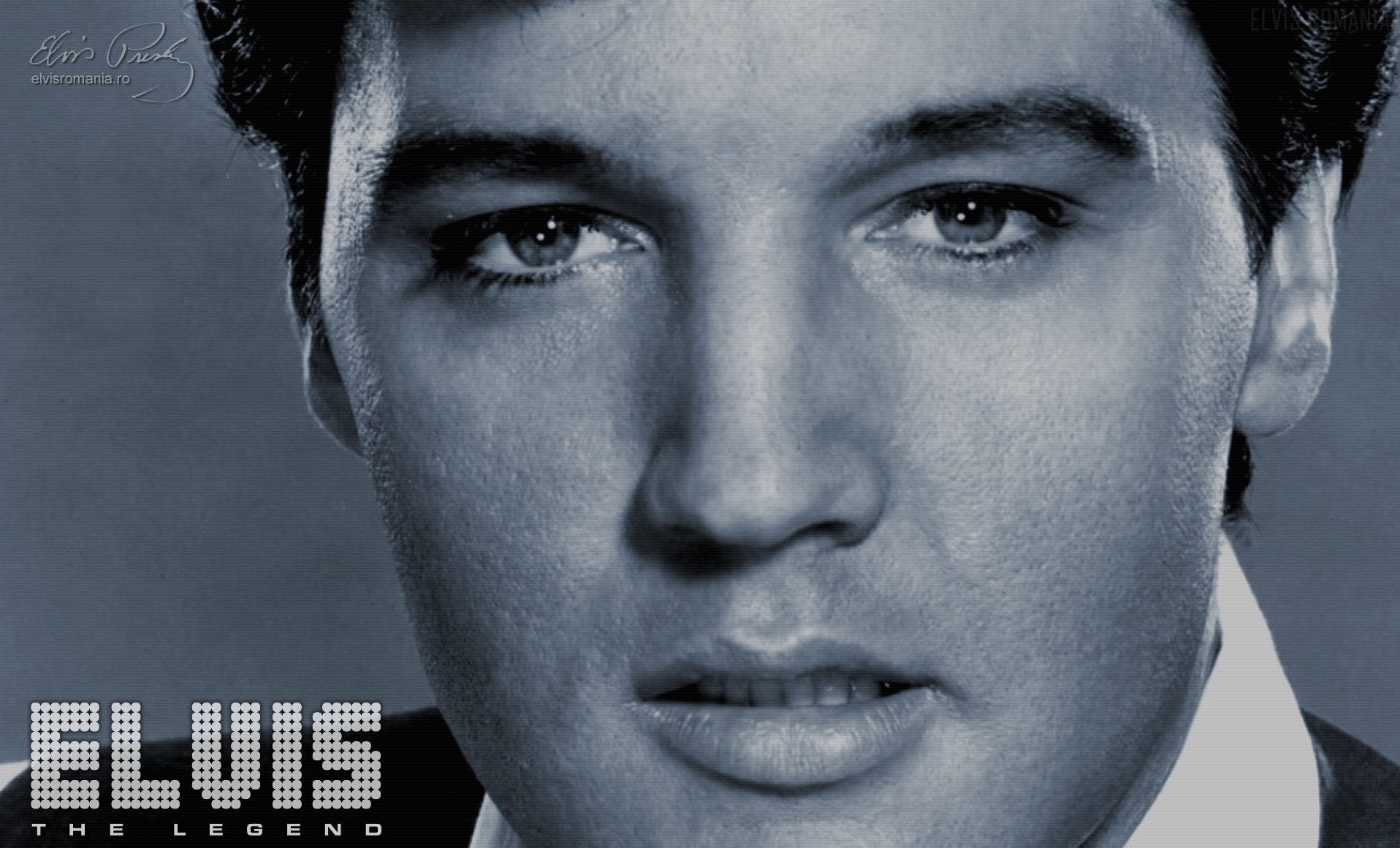 Elvis Presley Wallpaper Background Image