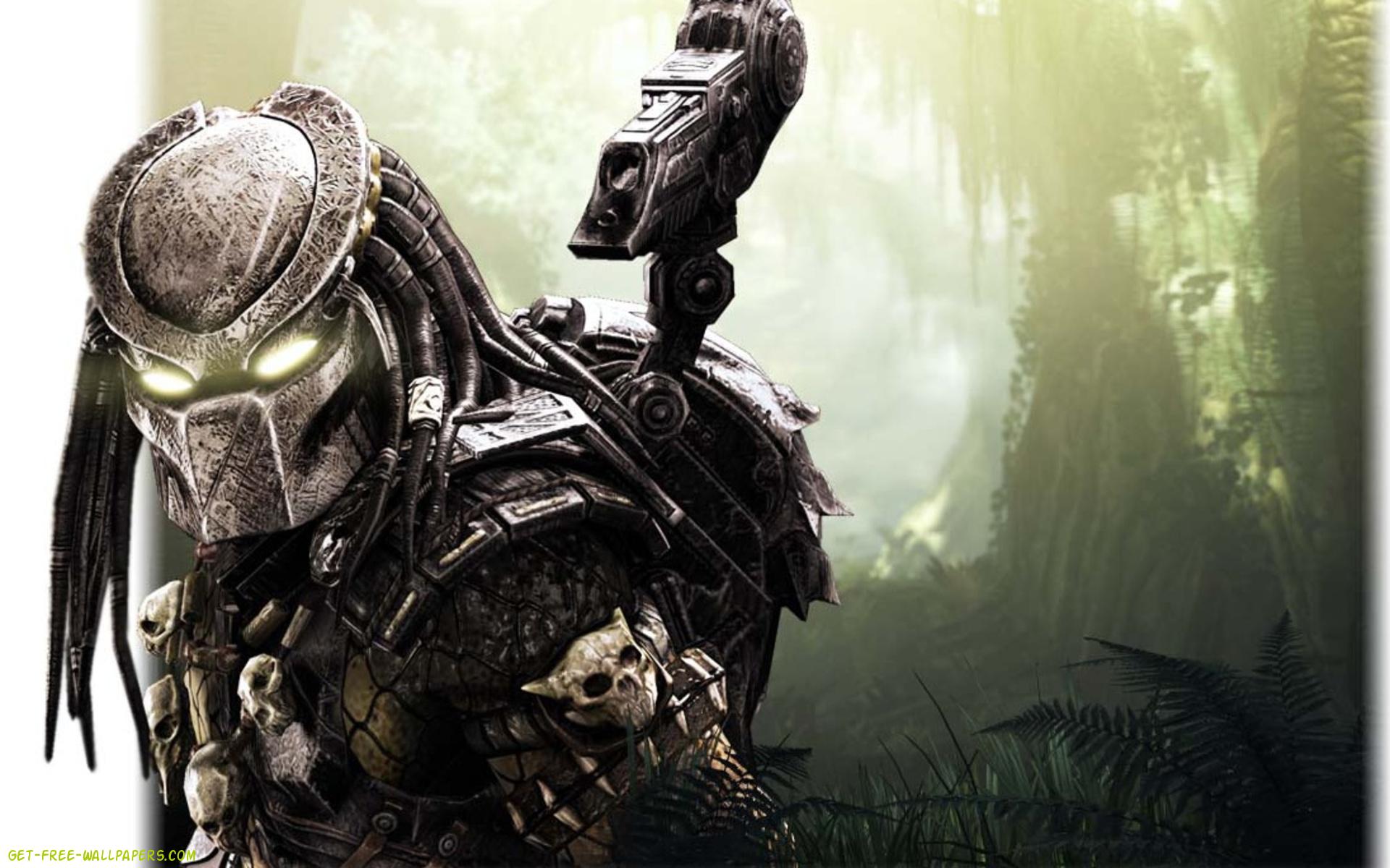 Predator Wallpaper Wallconvert