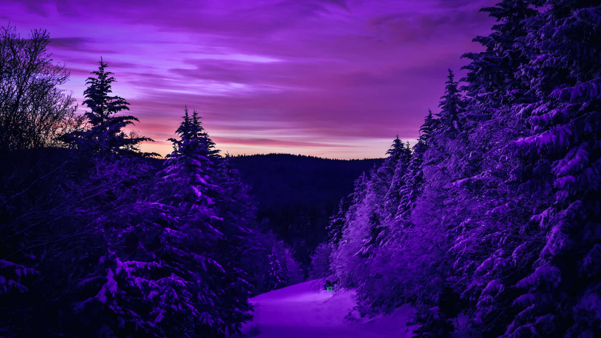 Cute Purple Aesthetic Wallpaper