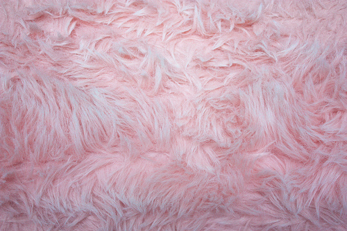 Pink Shag Fluffy Soft Furry Texture Background A Photo On Iver