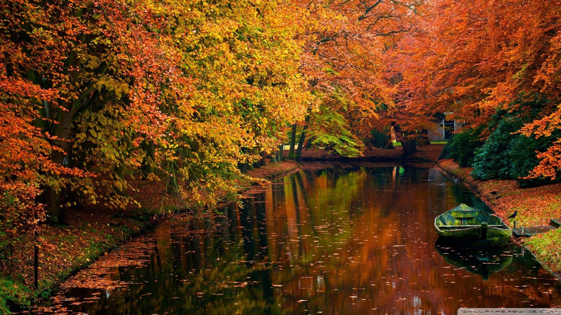Lake In Autumn Landscape Wallpaper