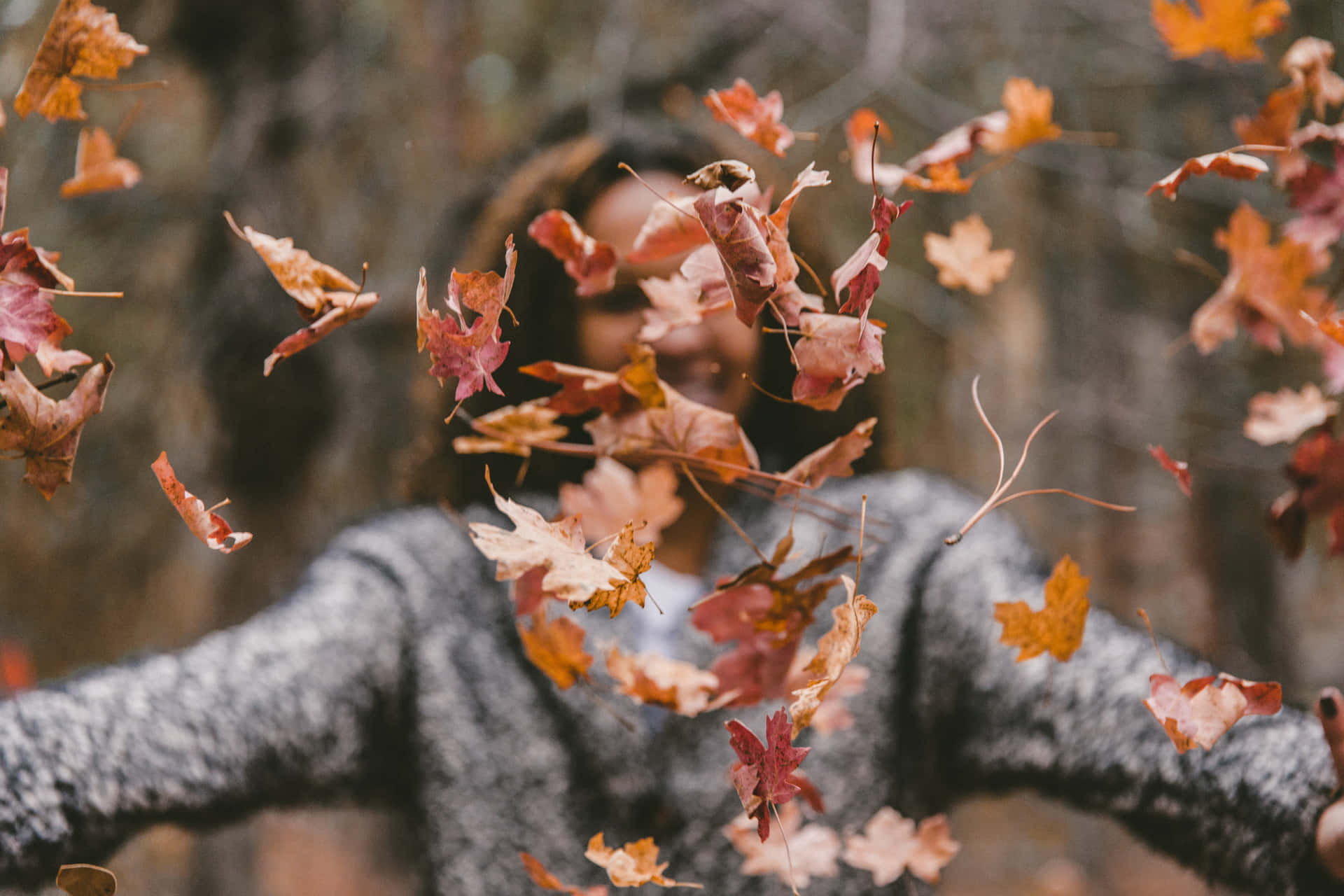 Fall Wallpaper