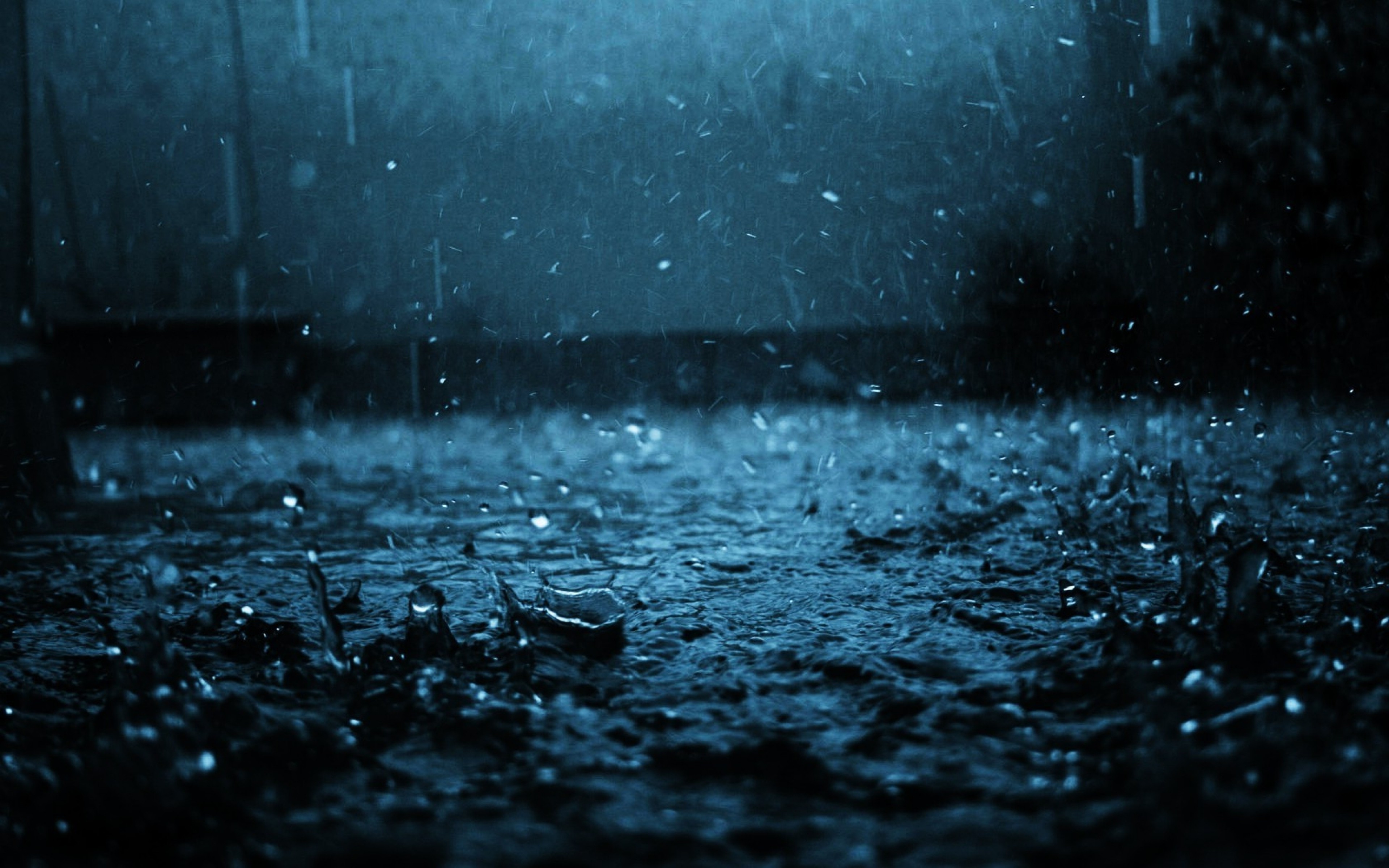 Rain Nature Wallpaper HD