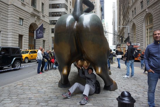 Wall Street Bull Picture Of Charging New