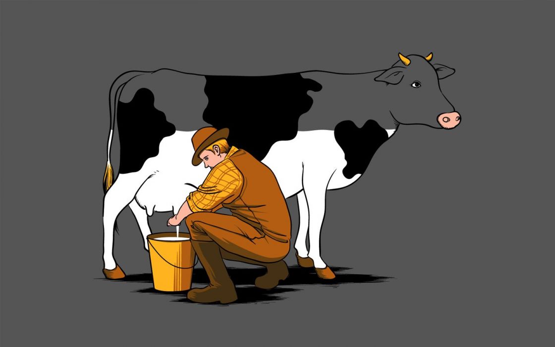Milk Cows Wallpaper