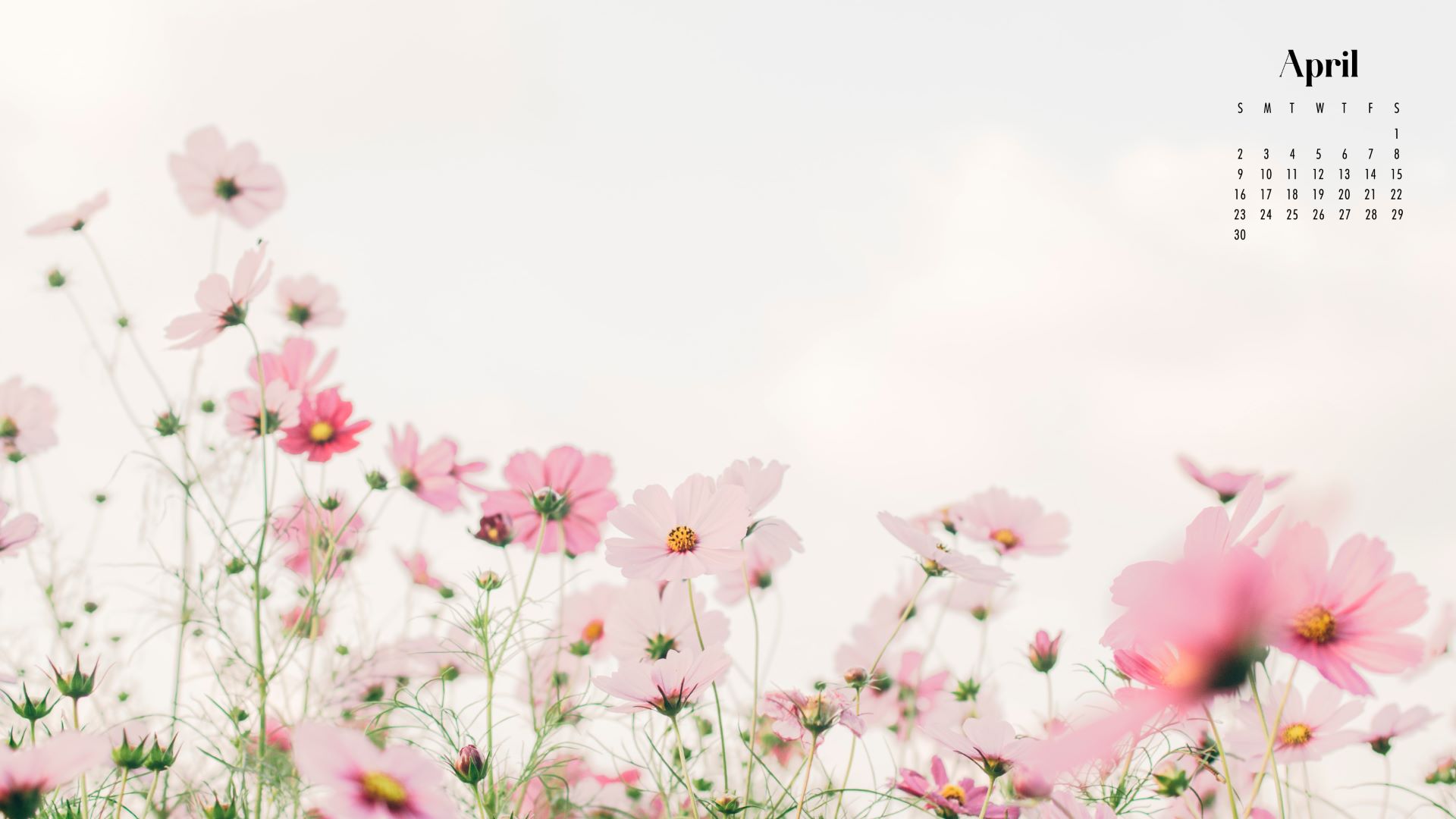 🔥 Free Download April Spring Wallpaper by @michaelscott | WallpaperSafari