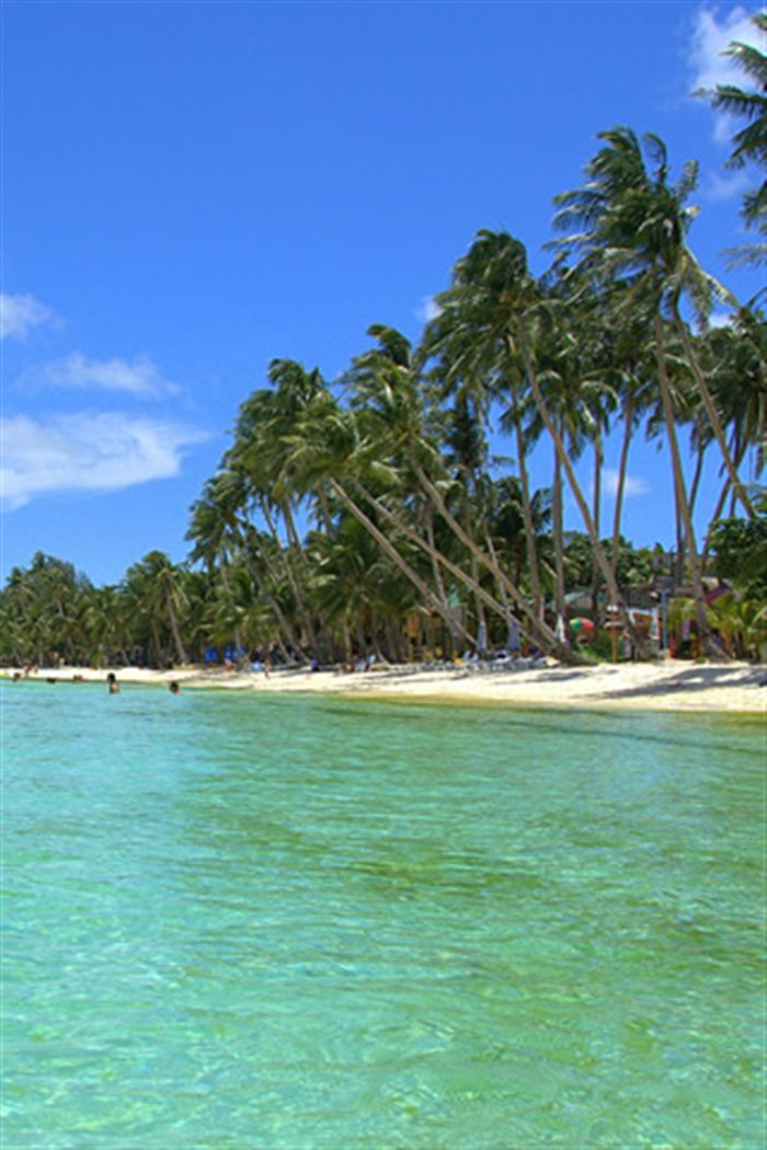 Tropical Beach iPhone Wallpaper